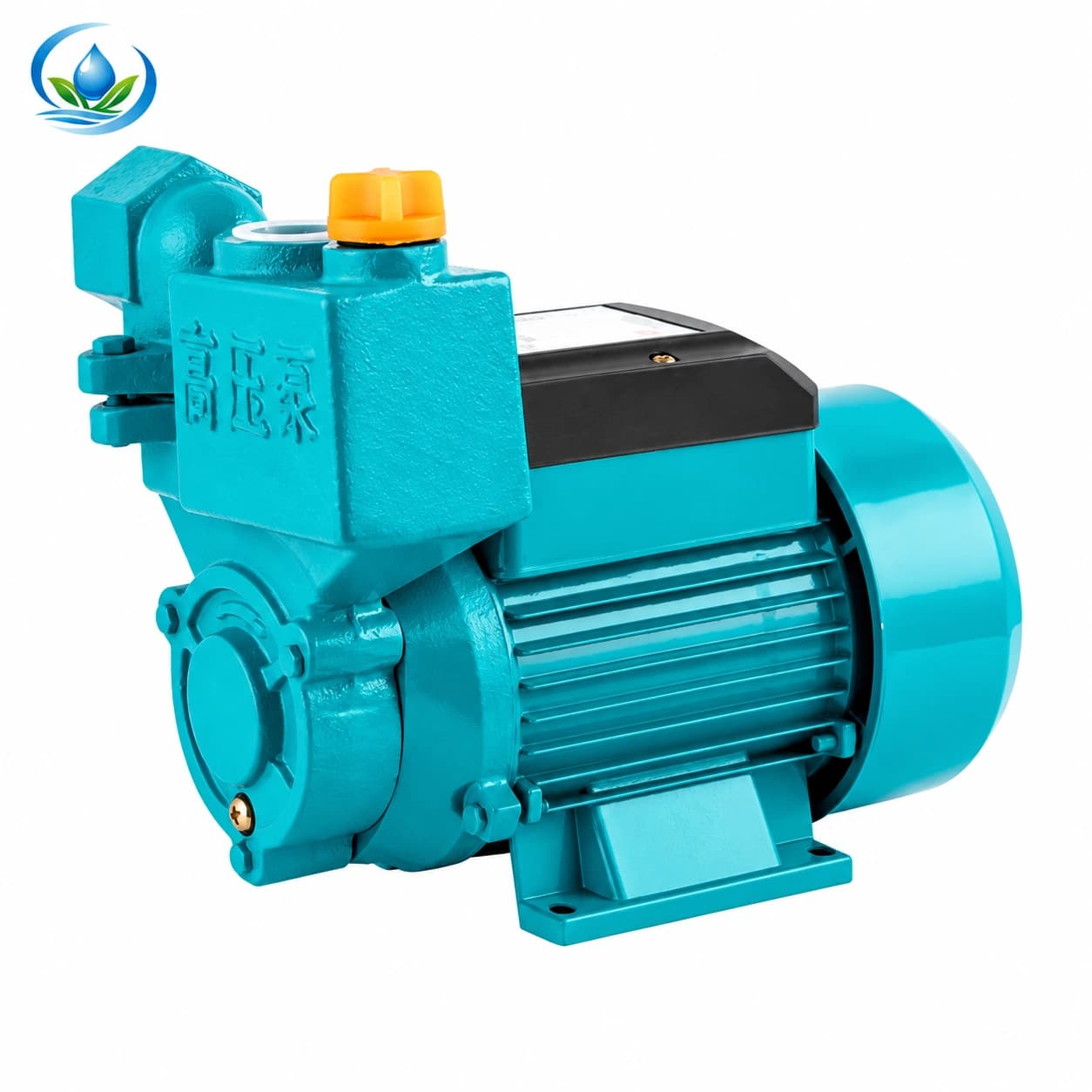 DC Self-Priming Pump for Off-Grid Irrigation