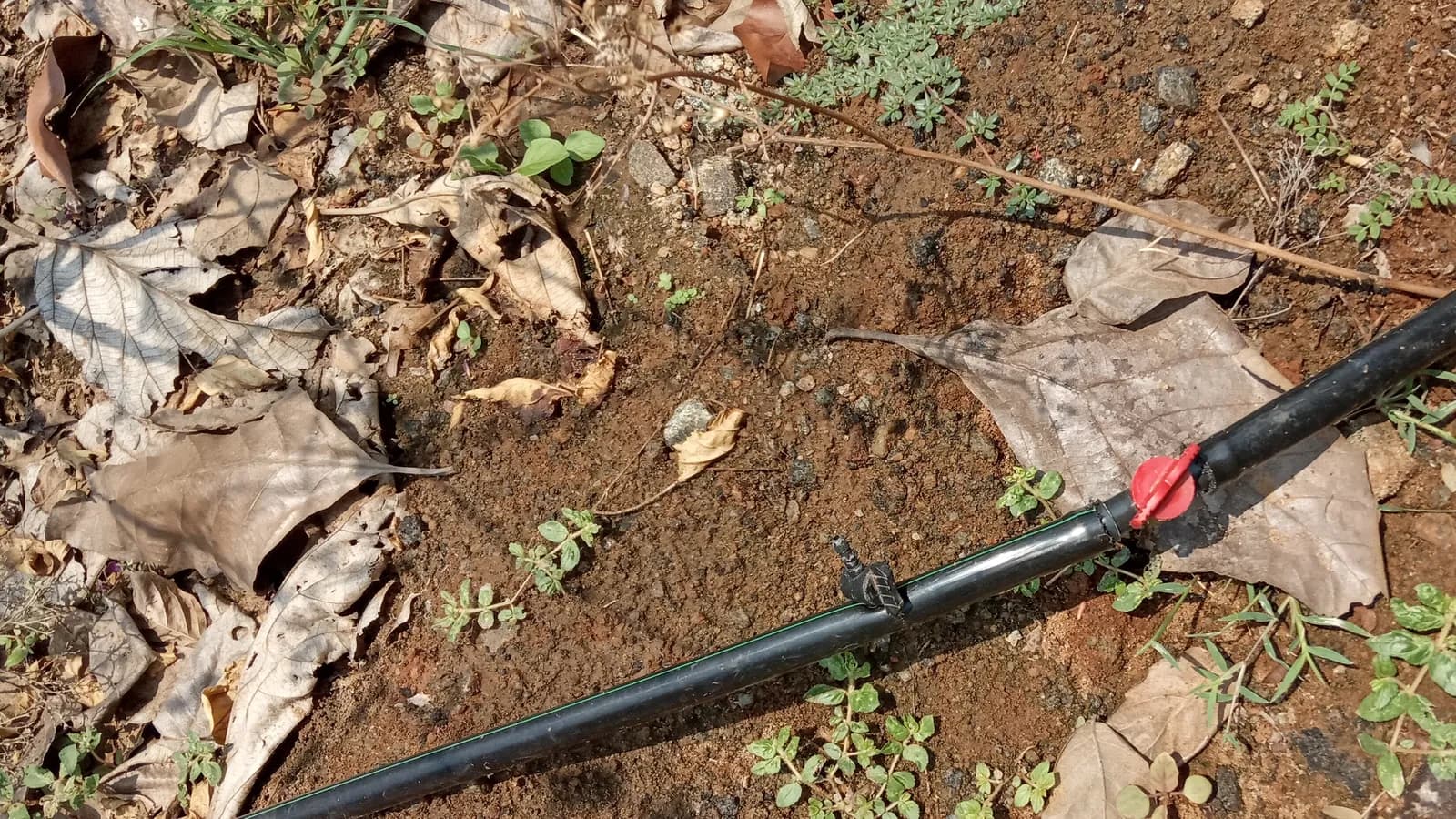 Agricultural Drip Irrigation System Components: A Field-Ready Shopping List
