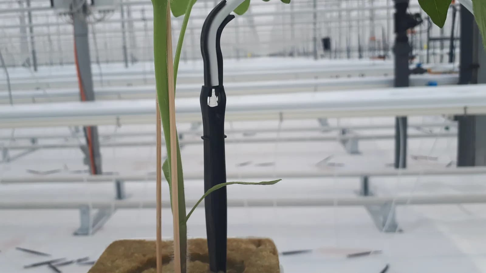 How to Calculate Drip Irrigation Flow Rate Before Buying Components