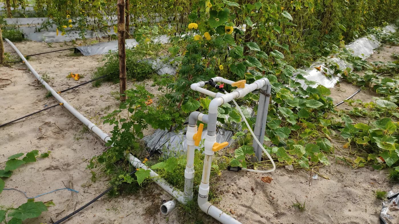 Raccords d'irrigation agricole : comparer les pièces pour conduites PE