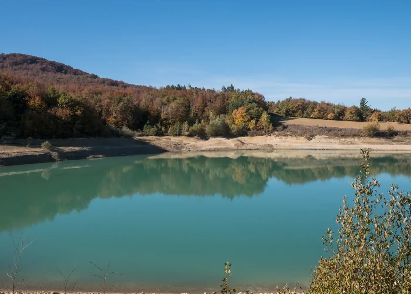 Irrigation Water Treatment Systems: Read the Water Test Before Buying Filters