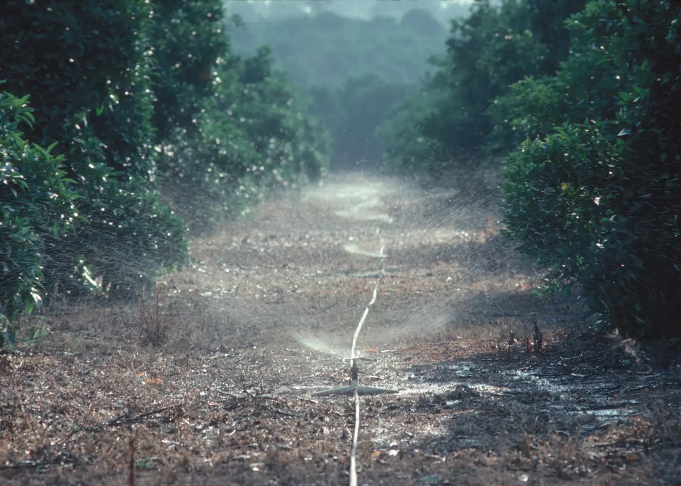 Agricultural Sprinkler Irrigation: Check Soil Ponding Before Changing Heads