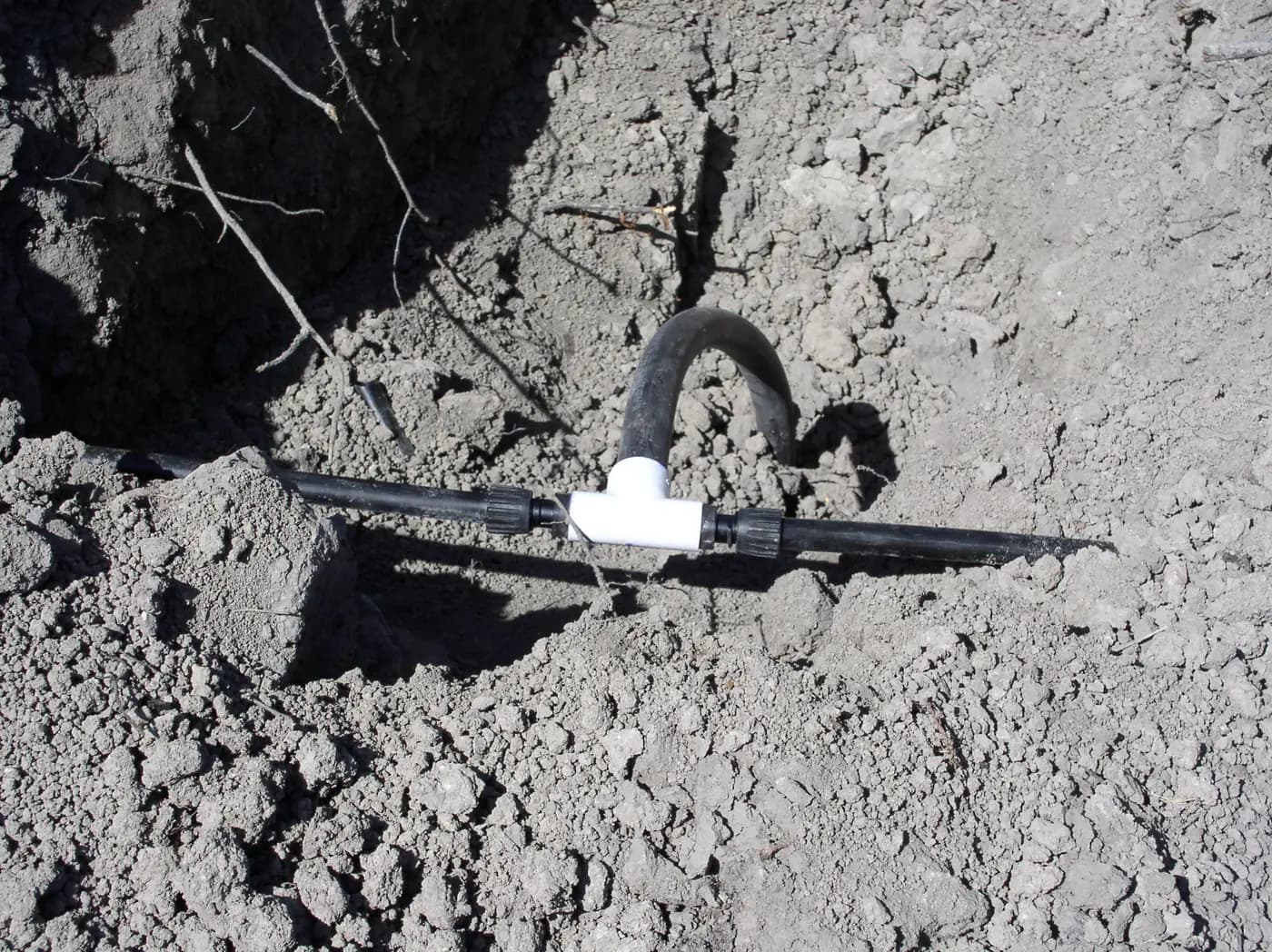 Subsurface Drip Systems: Confirm Root Intrusion Before Buying Repair Parts