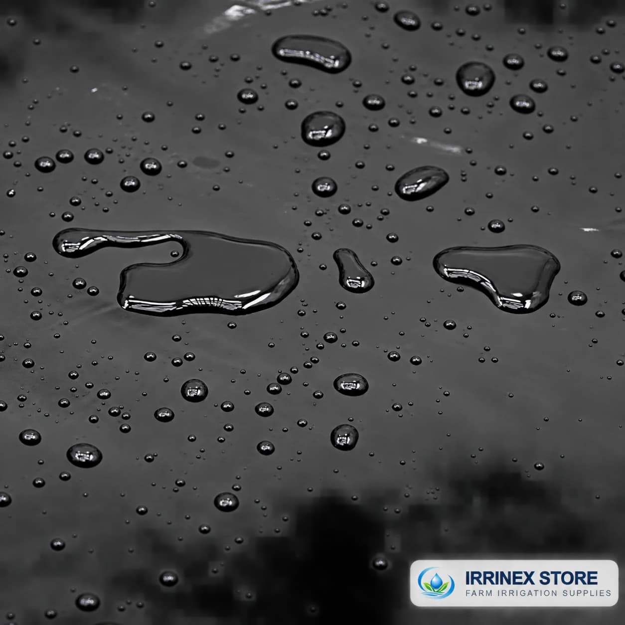 Water beads on the surface of black polyethylene sheeting