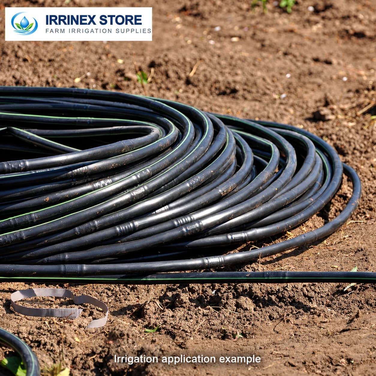 Irrigation application example: coiled dripline on garden soil