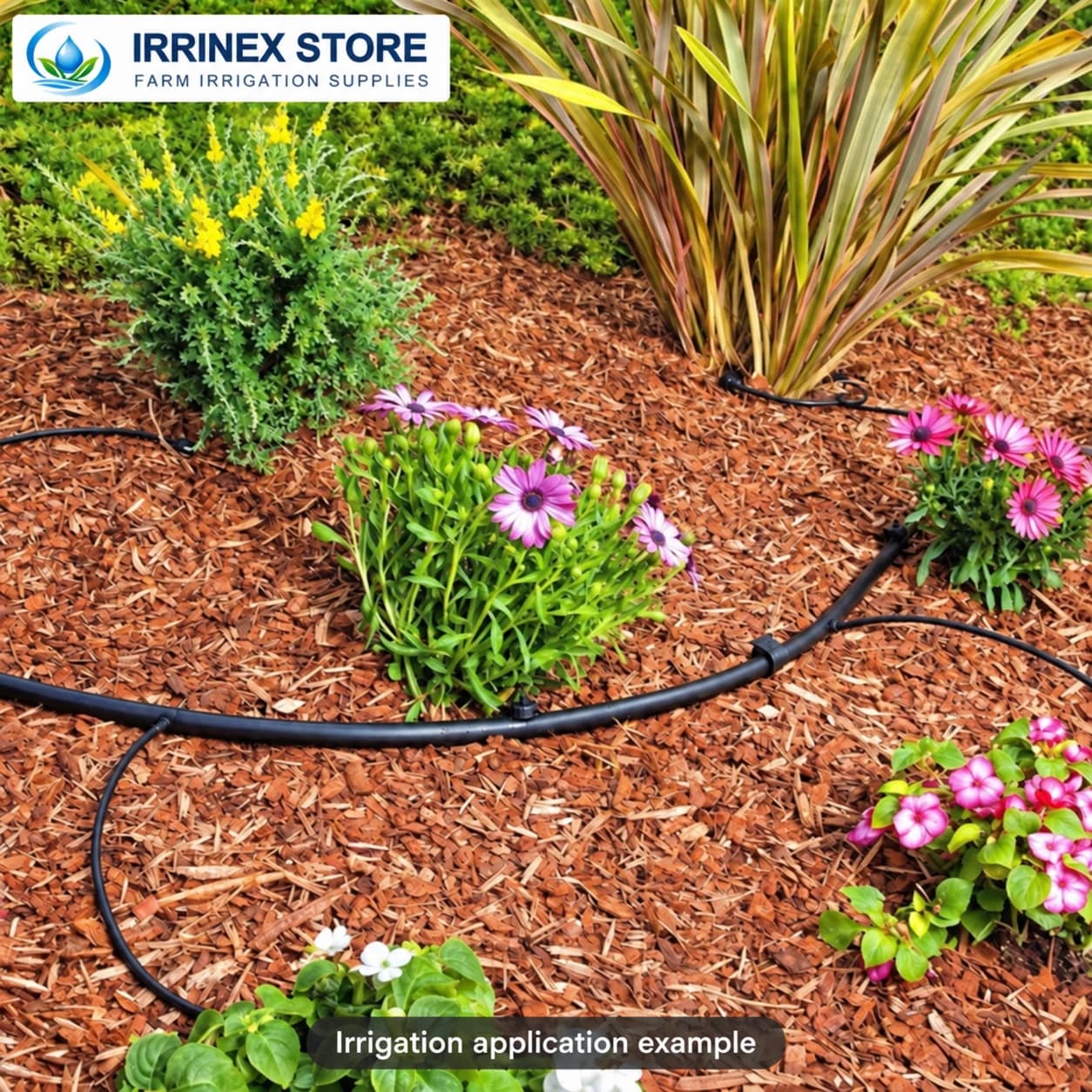Irrigation application example: tubing around flowers and shrubs on mulch
