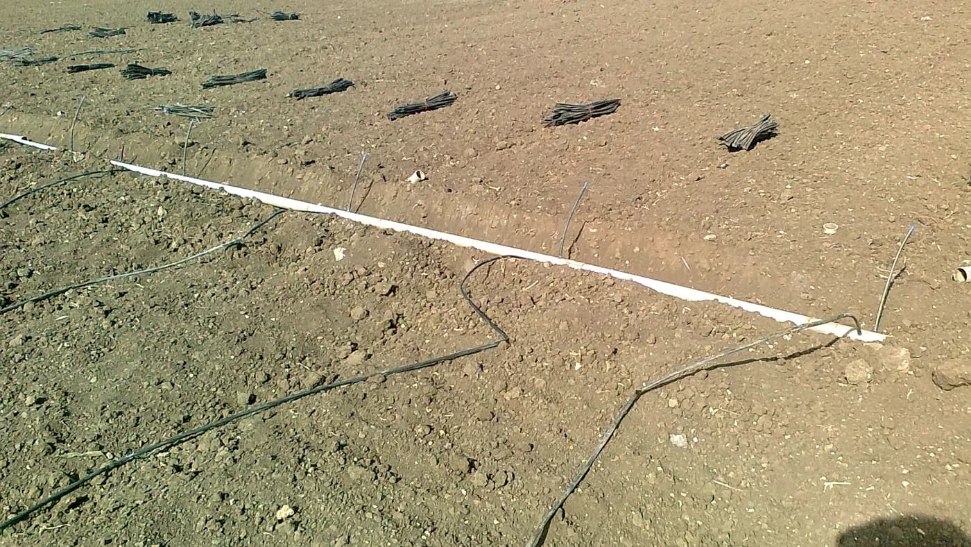 Agricultural Irrigation Pipe: Compare Sizes, Pressure Classes and Order Quantities