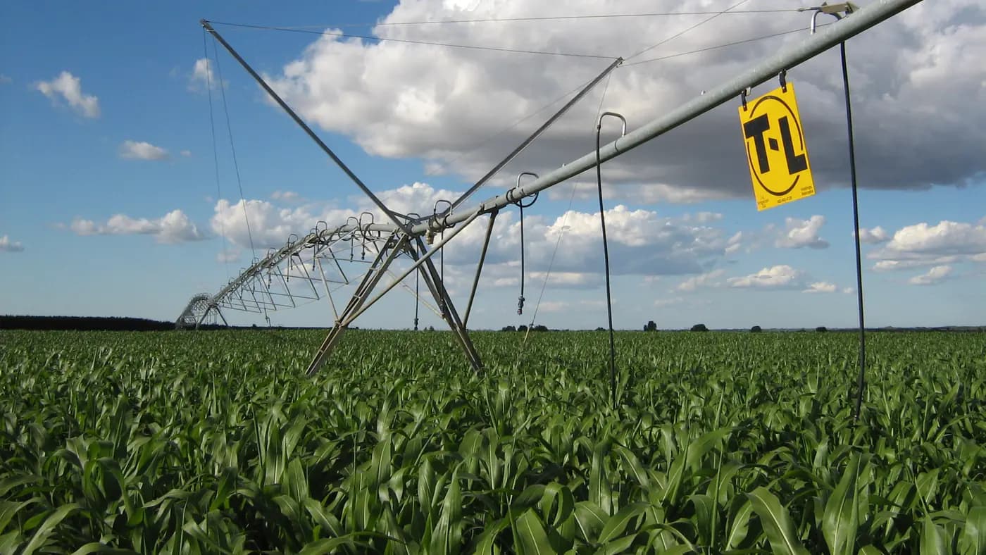 Corn Irrigation Systems: Plan Seasonal Drip Around Field Operations