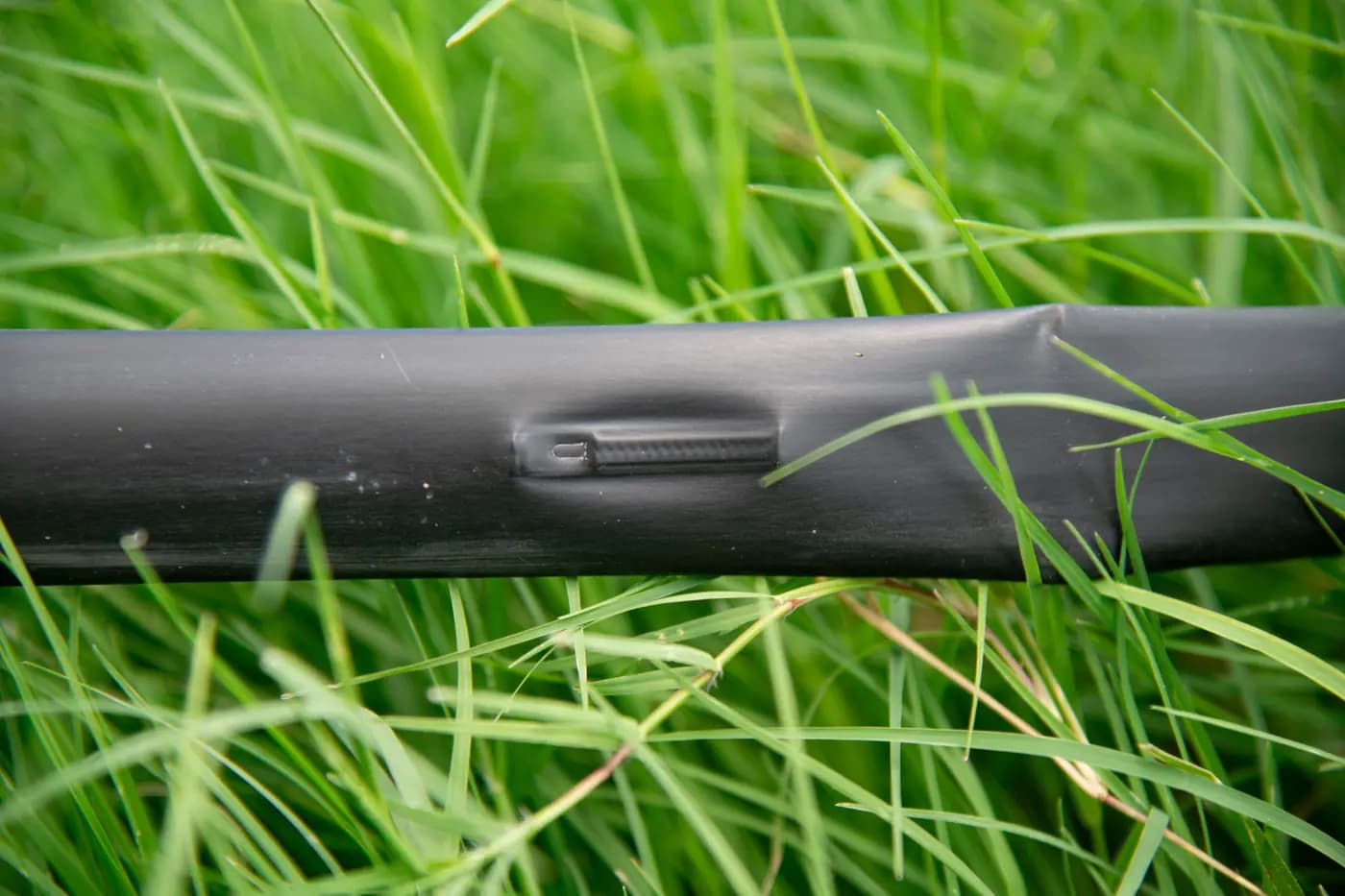 Close view of drip irrigation tape lying among grass at Schirmer Farms in Texas