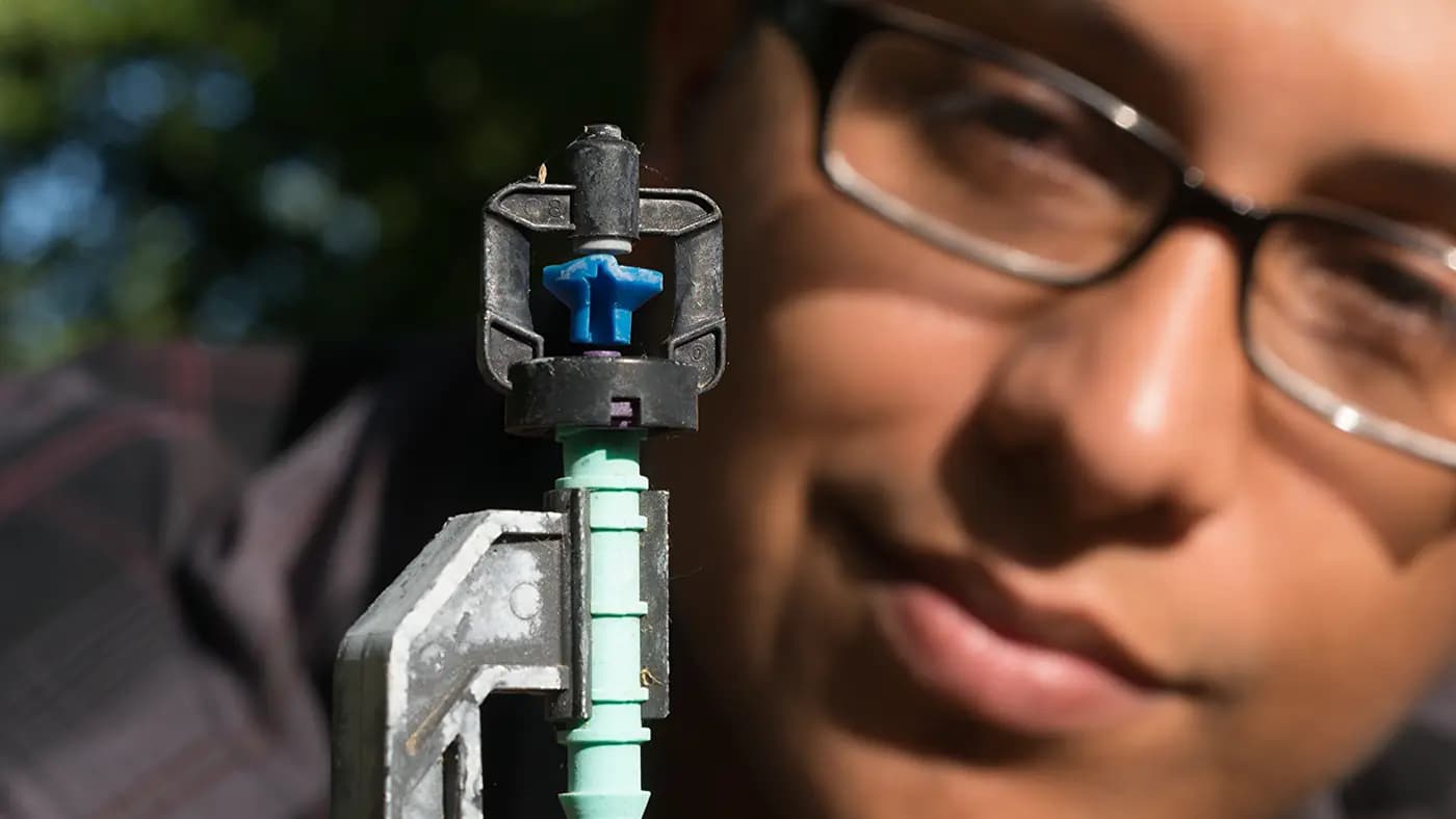 Close view of a micro sprinkler being inspected in an almond orchard at Mota Ranch in California