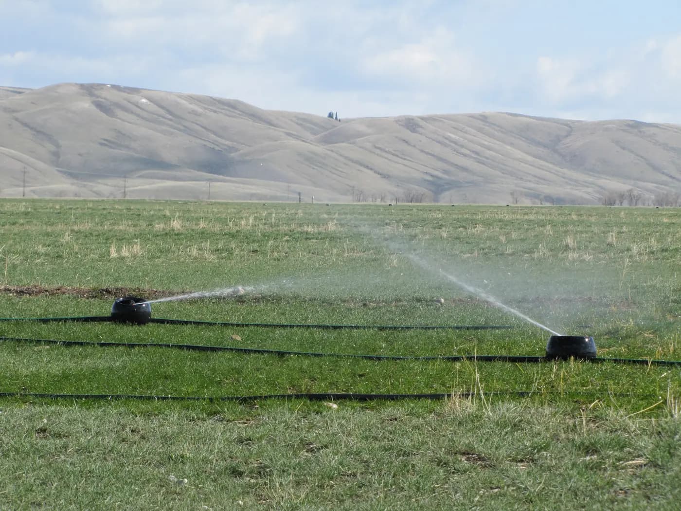 Sprinkler for Pasture: Keep Irrigation Clear of Grazing and Field Access