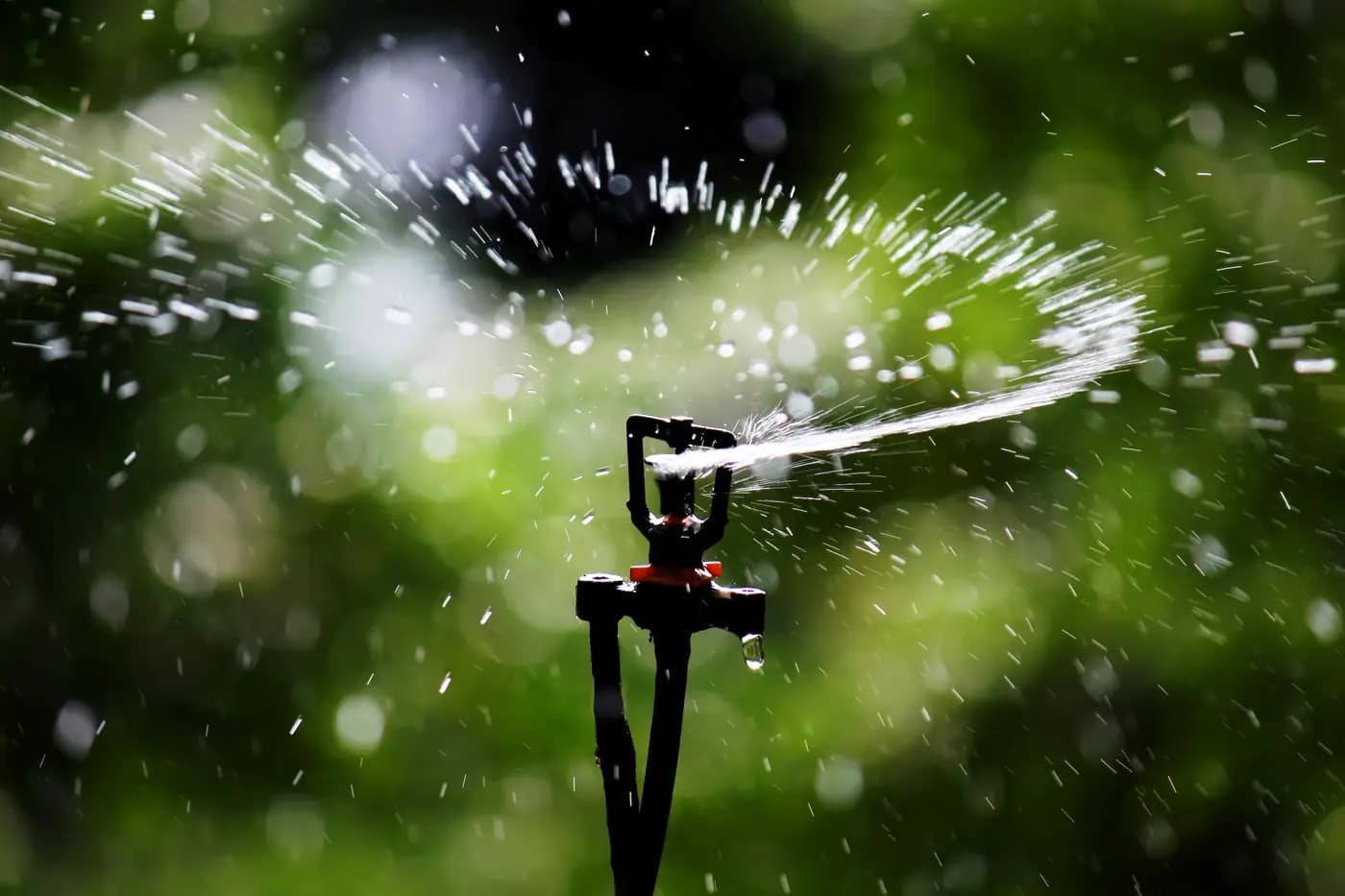 An operating micro-sprinkler spraying water against outdoor vegetation