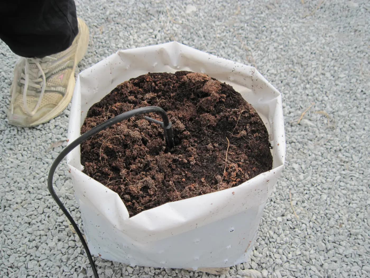 Fertilizer Injector for Irrigation System Upgrades: Check a New Concentrate First