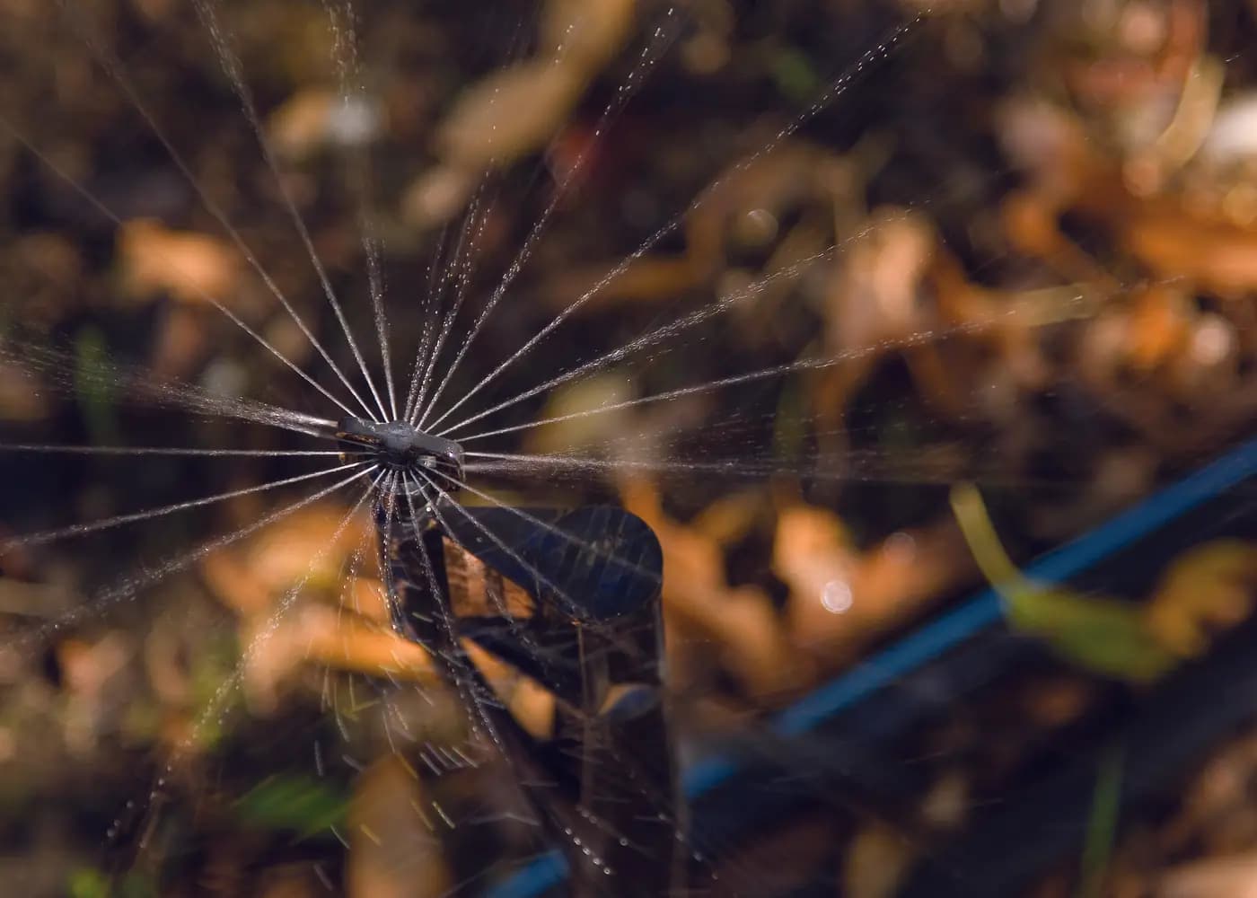 Micro Sprayer Irrigation: Check Wind Exposure Before Switching Heads