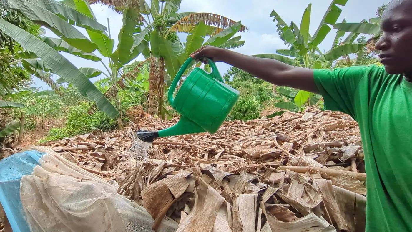 Raised Bed Irrigation: Reach the Seed Row During Germination