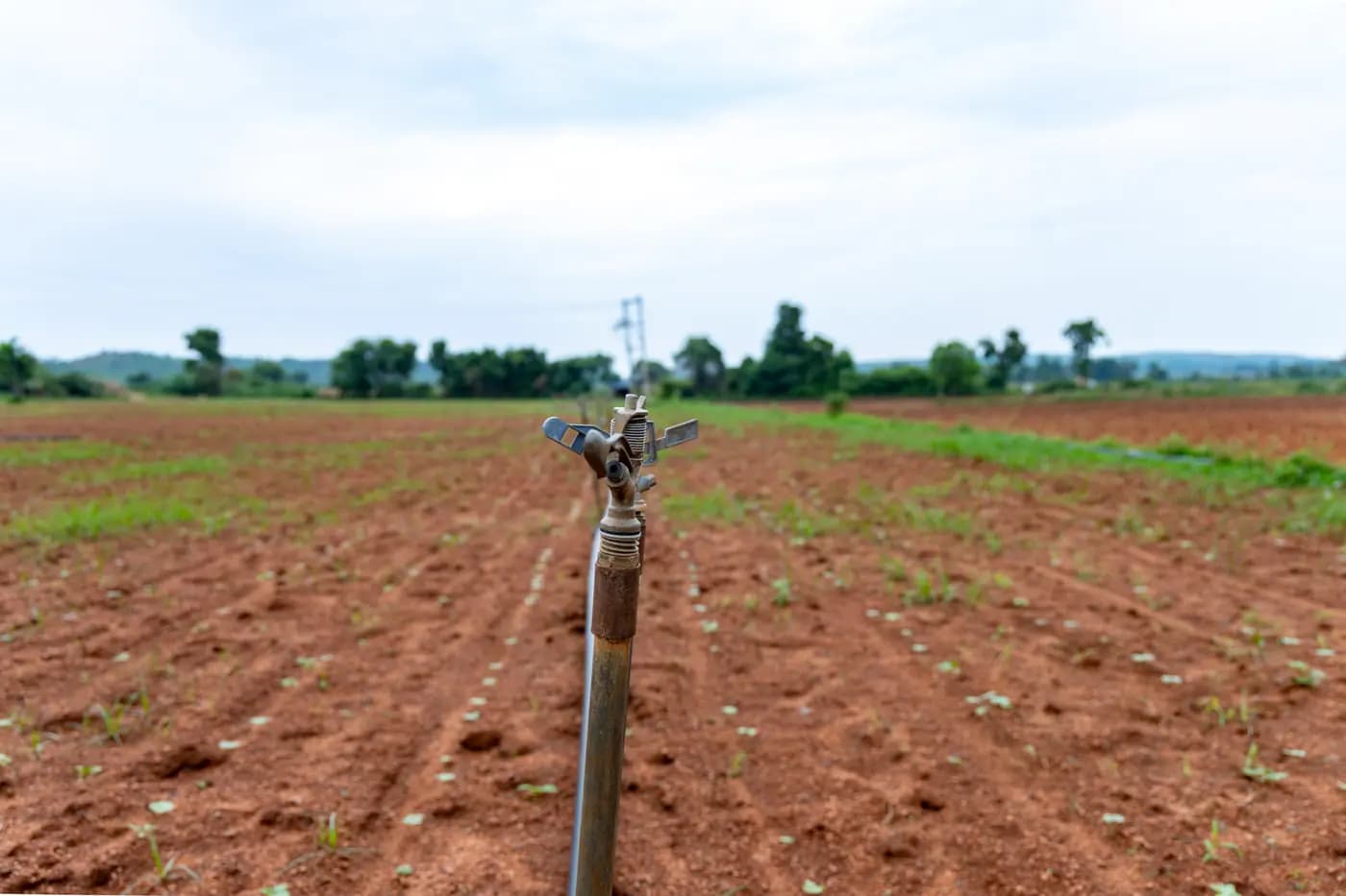 Sprinkler System Fertilizer Injector: Check Water Distribution Before Buying