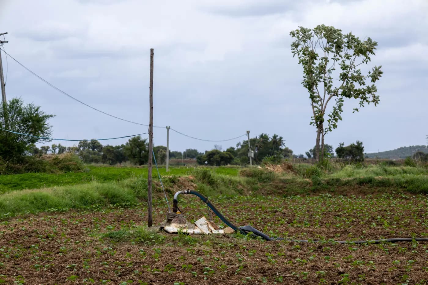Agricultural Irrigation Hose: Check Flat Width Against Nominal Size Before Buying