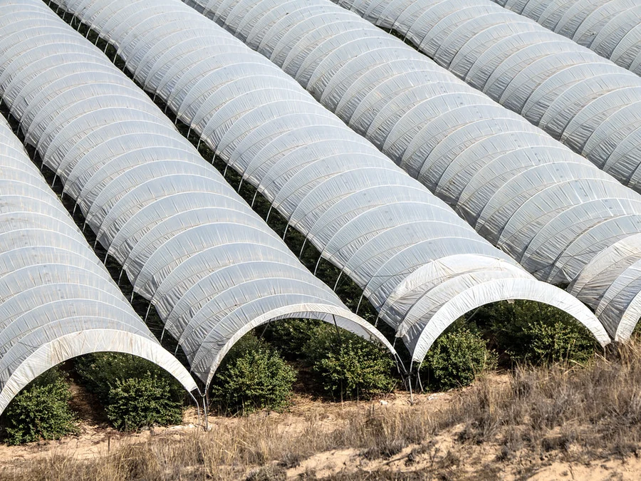 Real USDA photograph of agricultural high tunnels